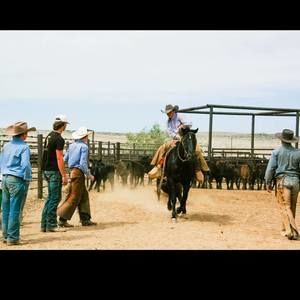 Meet your Posher, Wyatt